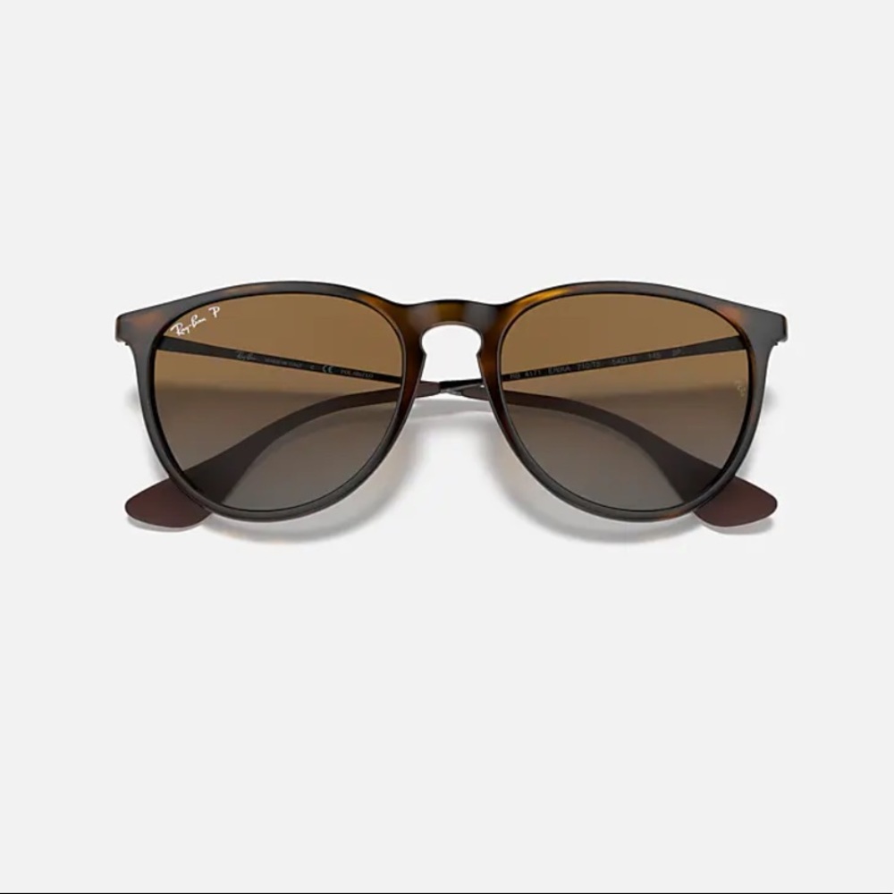 Ray-Ban Polarized Erika Sunglasses